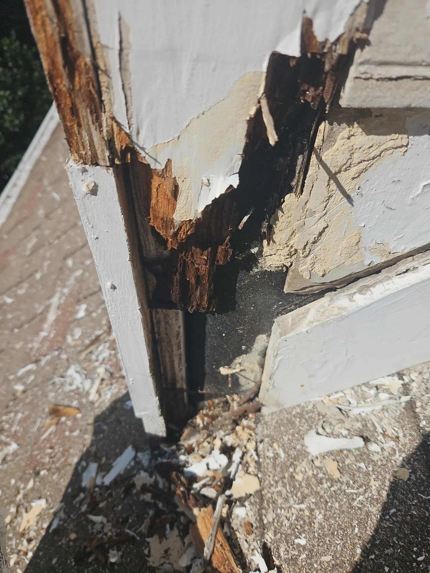 Rotted exterior wood trim opened up, showing the damage hidden behind the paint
